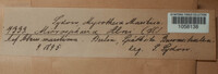 Image Associated With the Occurence